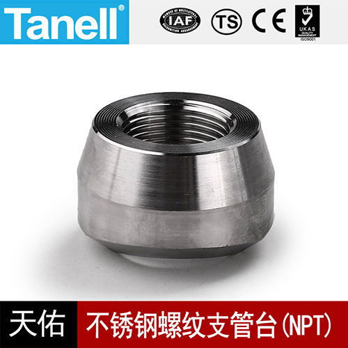 不锈钢螺纹支管台（NPT）