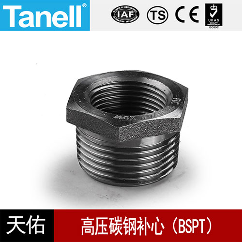 高压碳钢补心（BSPT）